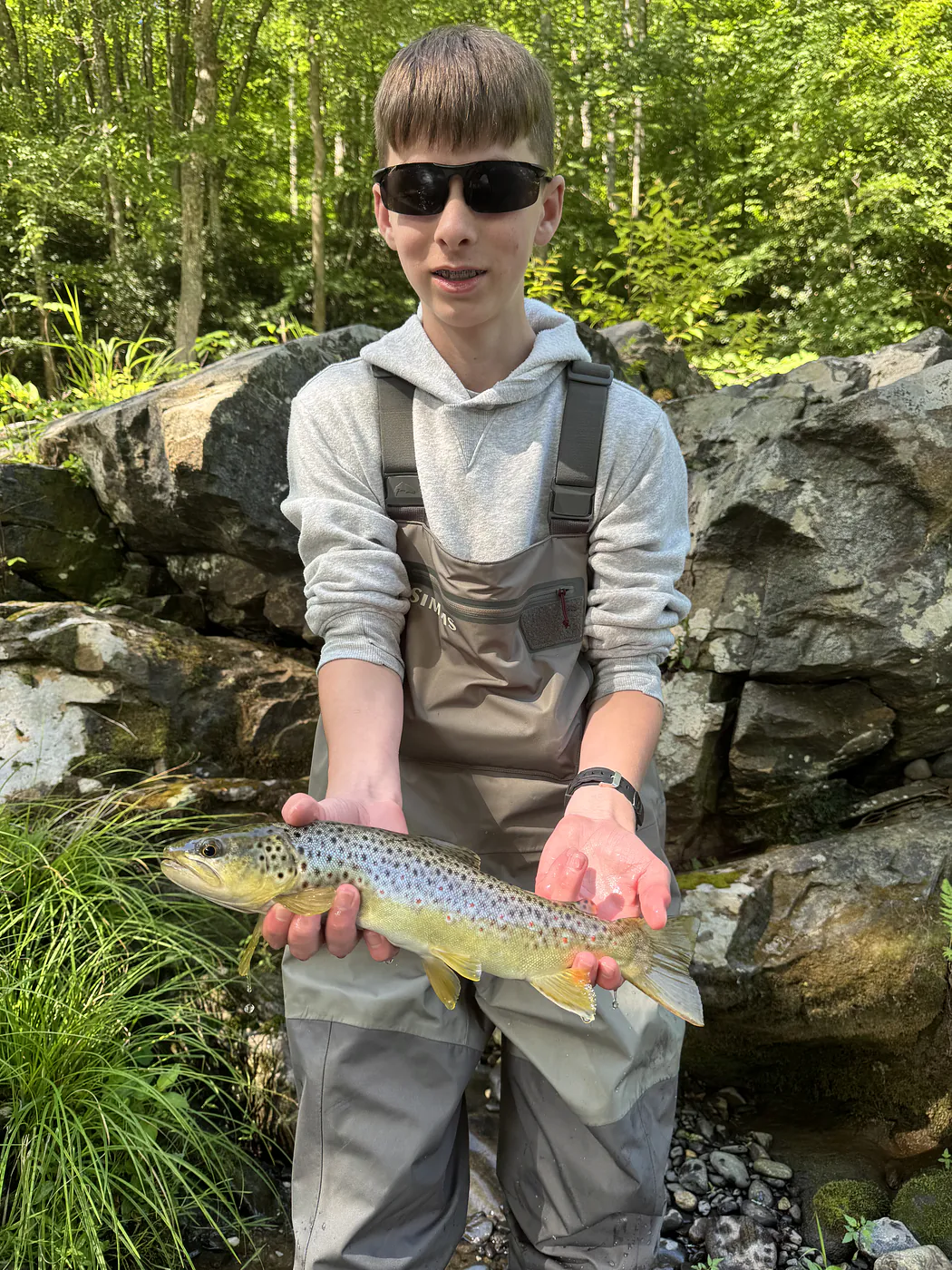 WNC fly fishing report — wild brown trout caught dry dropper fishing a high elevation stream in Western North Carolina